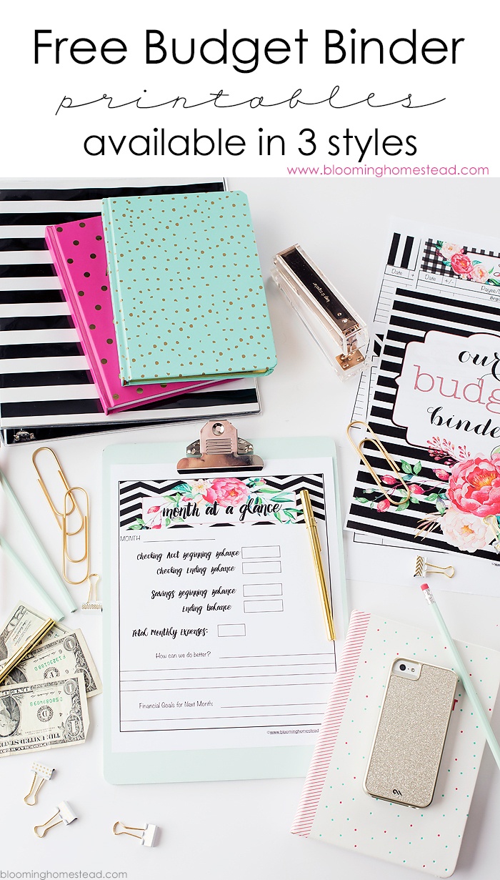 Free Printable Financial Binder