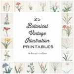 25 Vintage Botanical Illustrations: Free Printable Art   Free Printable Vintage Art