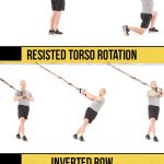 9 Trx Moves To Sculpt An Insanely Strong Upper Body | Livestrong   Free Printable Trx Workouts