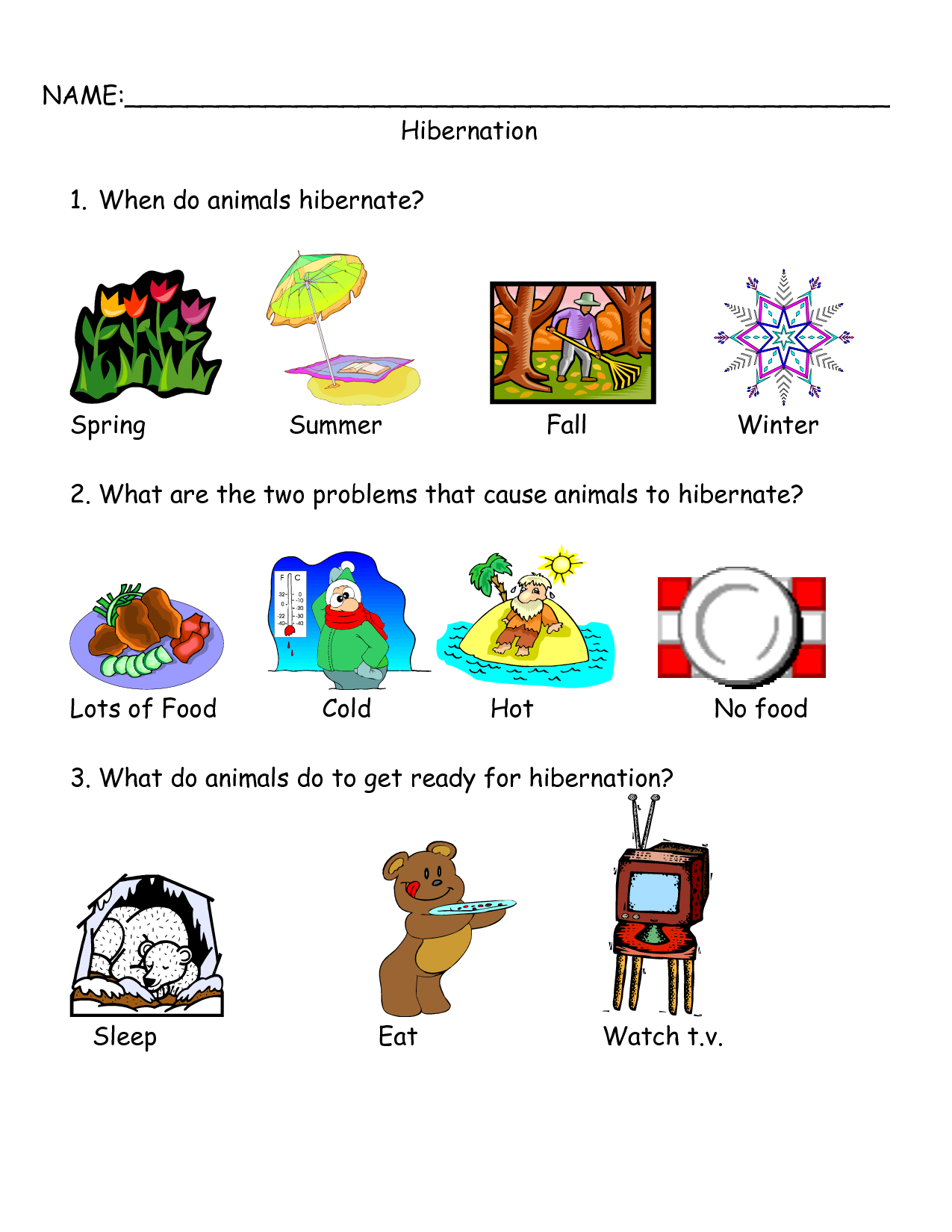 animalhibernationprintableworksheets hibernation printable