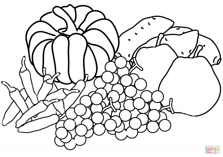Free Printable Fall Harvest Coloring Pages