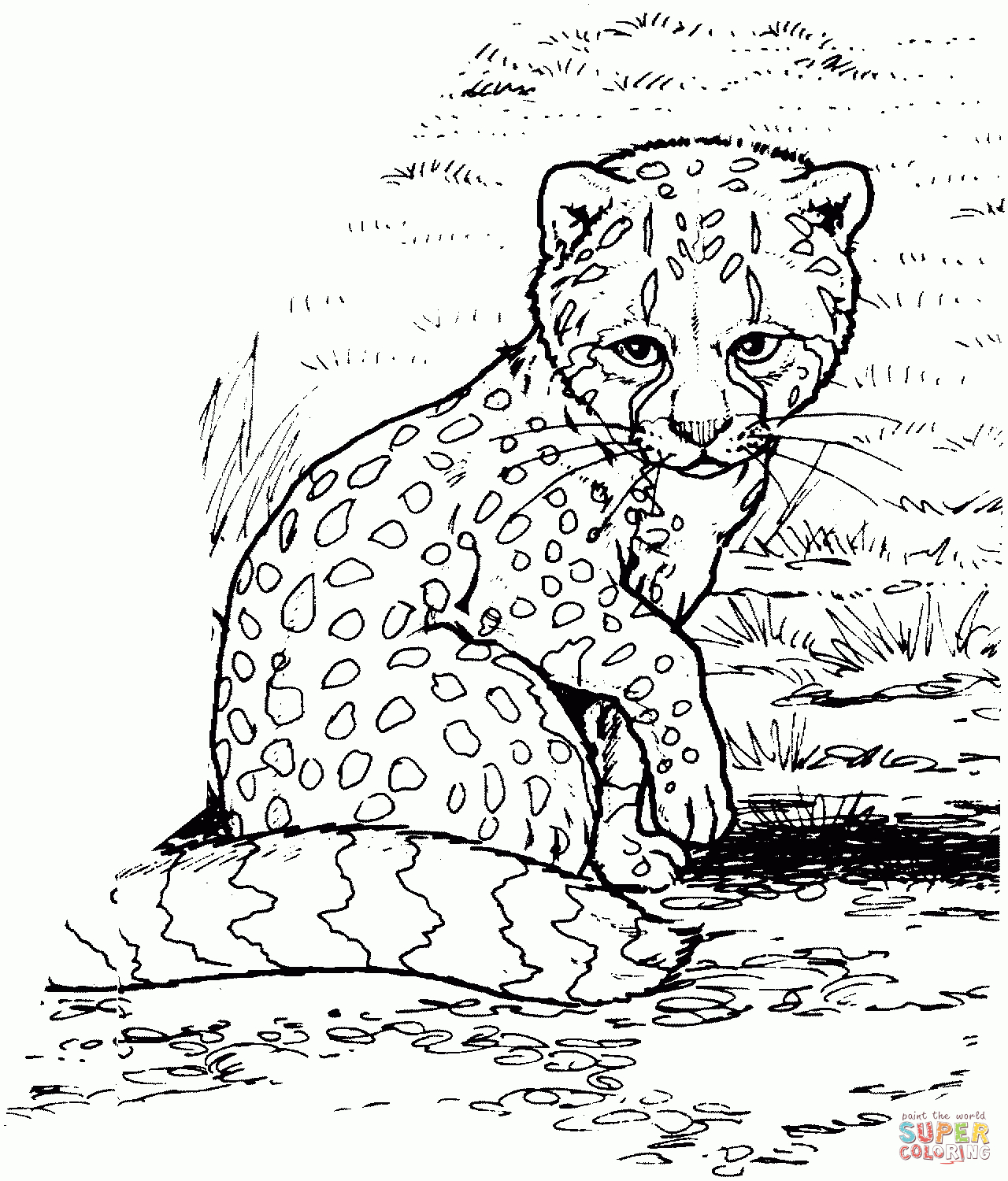 Baby Cheetah Coloring Page | Free Printable Coloring Pages - Free Printable Cheetah Pictures