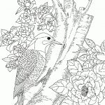 Backyard Animals And Nature Coloring Books Free Coloring Pages   Free Printable Nature Coloring Pages