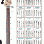 Bass Scales Wall Chart   Gif File | Bass Guitars In 2019 | Bass   Free Printable Bass Guitar Chord Chart