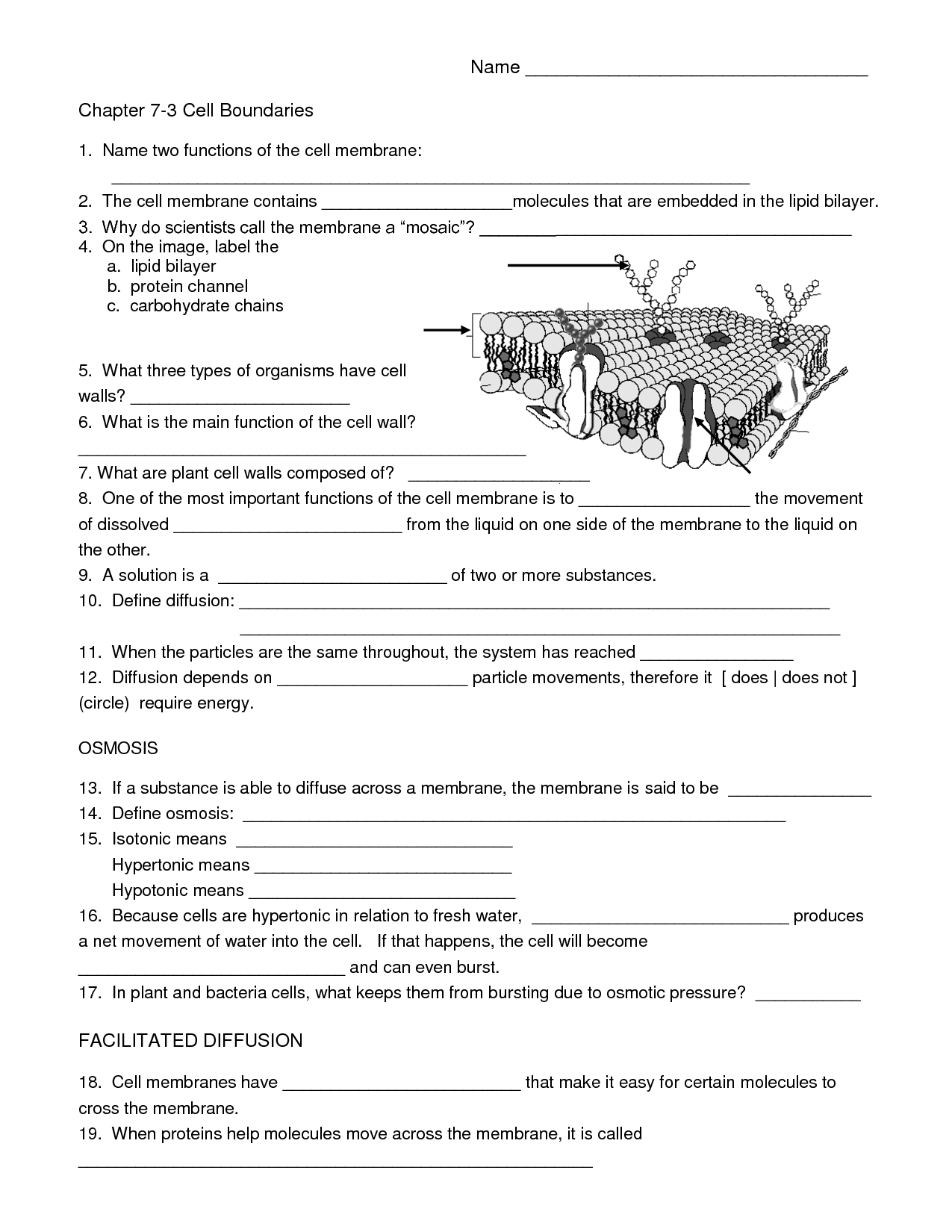 Biology Cell Worksheets | Carpe Diem Science | Science Worksheets - Free Printable High School Worksheets