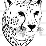 Coloring Pages Cheetah Face (Mammals > Cheetah)   Free Printable   Free Printable Cheetah Pictures