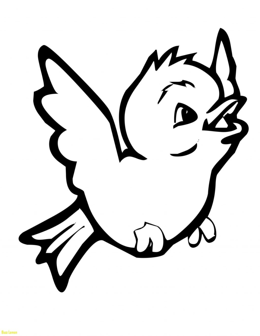Coloring Pages Ideas: Coloring Pages Ideas Stunning Free For Kids - Free Printable Images Of Birds