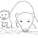 Curious Polar Bear Mother And Cub Coloring Page | Free Printable   Polar Bear Printable Pictures Free