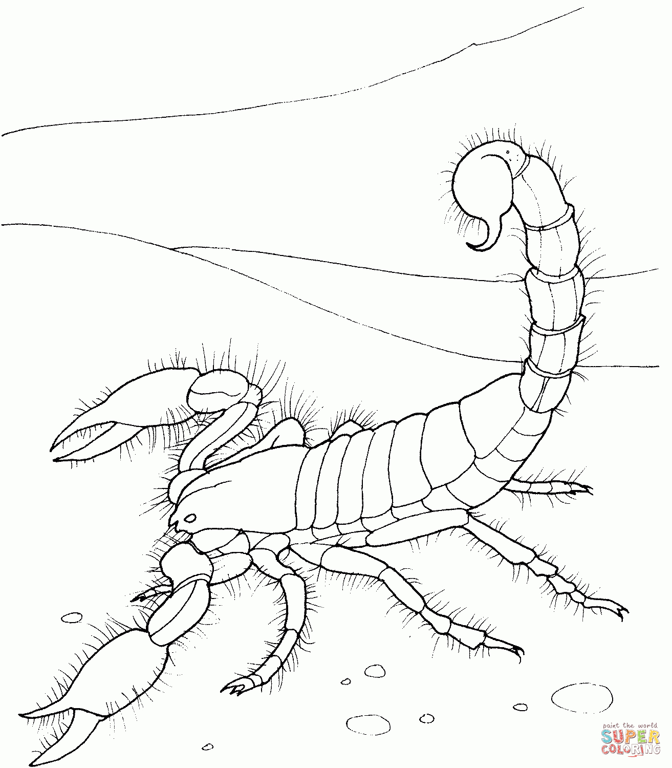 Desert Animals Coloring Pages North American | Coloring Pages - Free