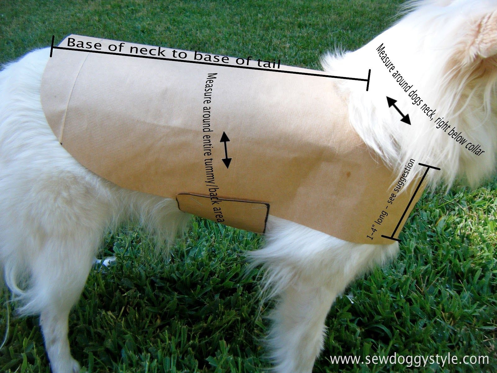 Drafting A Pet Coat Pattern - So Easy! | Dogs | Ropa Para Perros - Free Printable Dog Coat Sewing Patterns