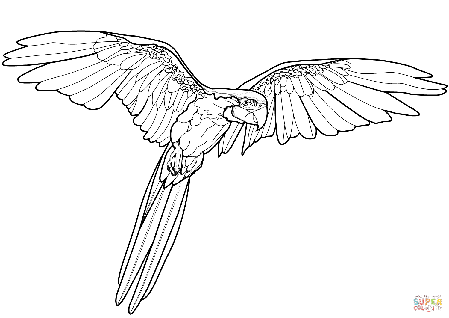 Flying Parrot Coloring Page | Free Printable Coloring Pages - Free Printable Parrot Coloring Pages
