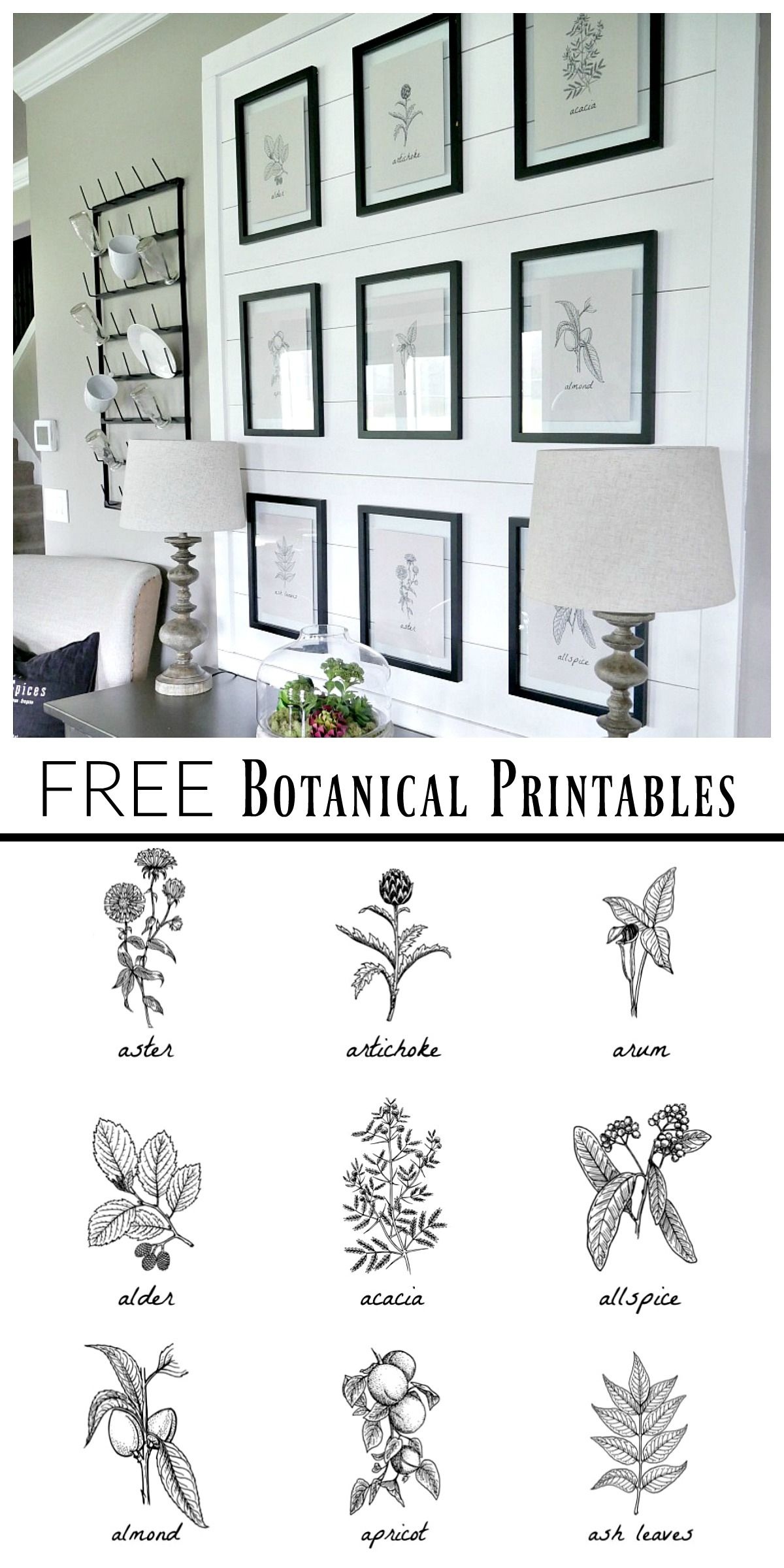 Free Botanical Prints | Bloggers&amp;#039; Best Diy Ideas | Diy Home Decor - Free Black And White Printable Art