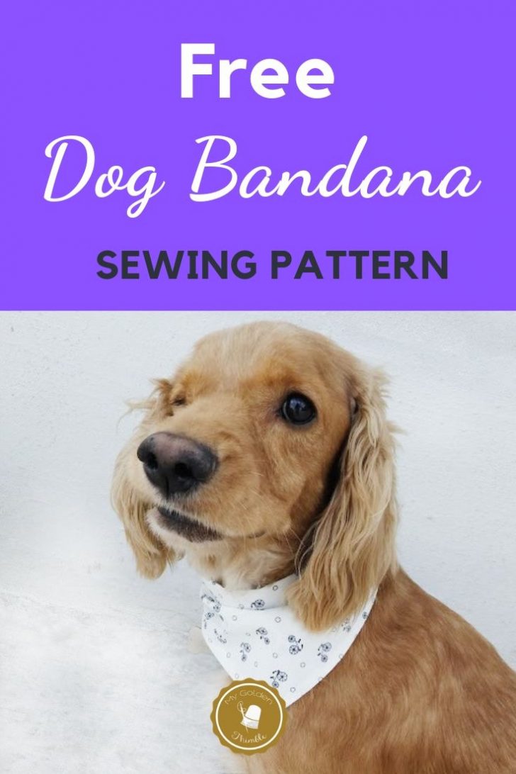 Free Printable Sewing Patterns For Dog Clothes