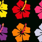 Free Hawaiian Cliparts, Download Free Clip Art, Free Clip Art On   Free Printable Luau Clipart