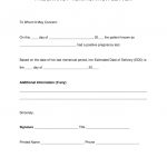 Free Pregnancy Verification Form   Pdf | Word | Eforms – Free   Free Printable Medical Forms Kit