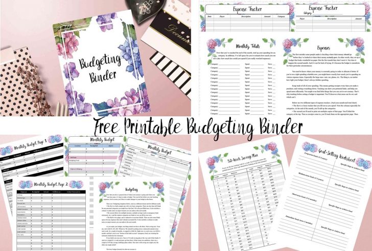 Free Printable Budget Binder Worksheets