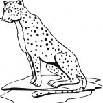 Free Printable Cheetah Coloring Pages For Kids   Free Printable Cheetah Pictures