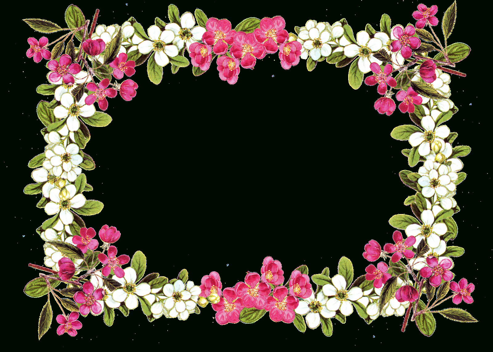 Free Printable Flower Templates Clipart | Free Download Best Free - Free Printable Clipart Of Flowers