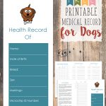 Free Printable Medical Record For Dogs   Tastefully Eclectic   Free Printable Dog Shot Records