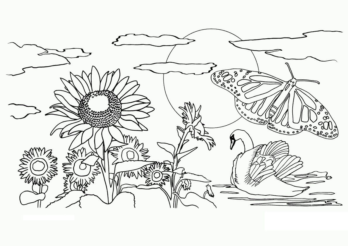 Free Printable Nature Coloring Pages For Kids - Best Coloring Pages - Free Printable Nature Coloring Pages