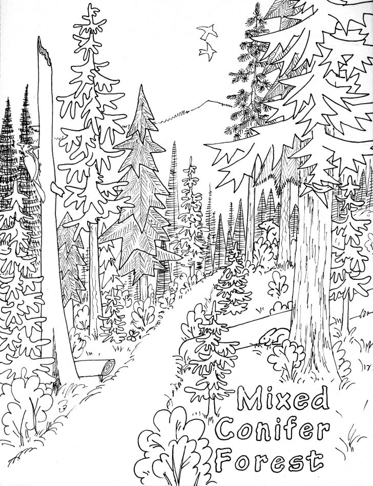 Free Printable Nature Coloring Pages