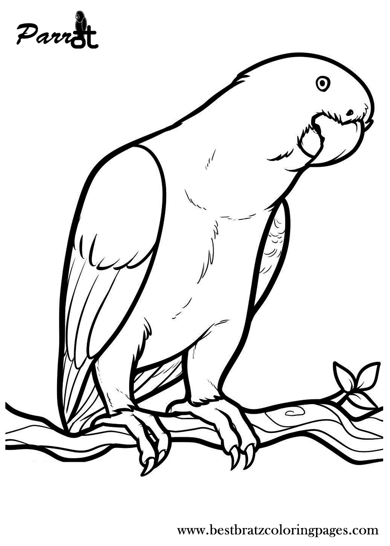 Free Printable Parrot Coloring Pages For Kids | Coloring Pages - Free Printable Parrot Coloring Pages