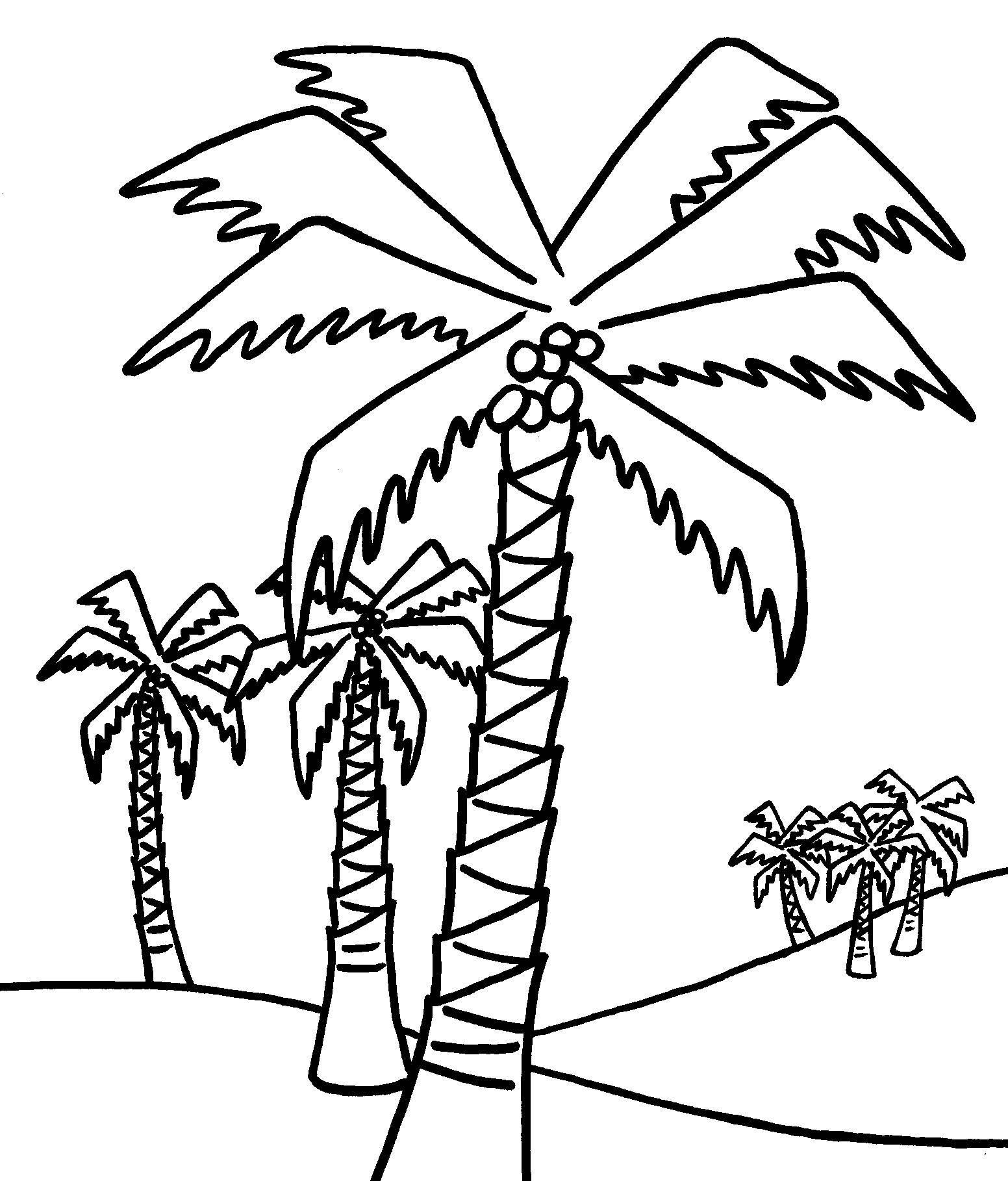 Free Printable Pictures Of Trees, Download Free Clip Art, Free Clip - Free Printable Palm Tree Template