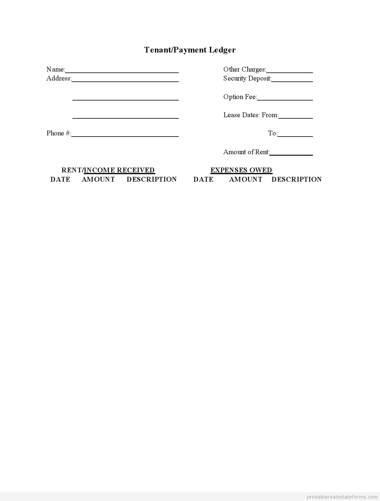 free printable rental ledger template form