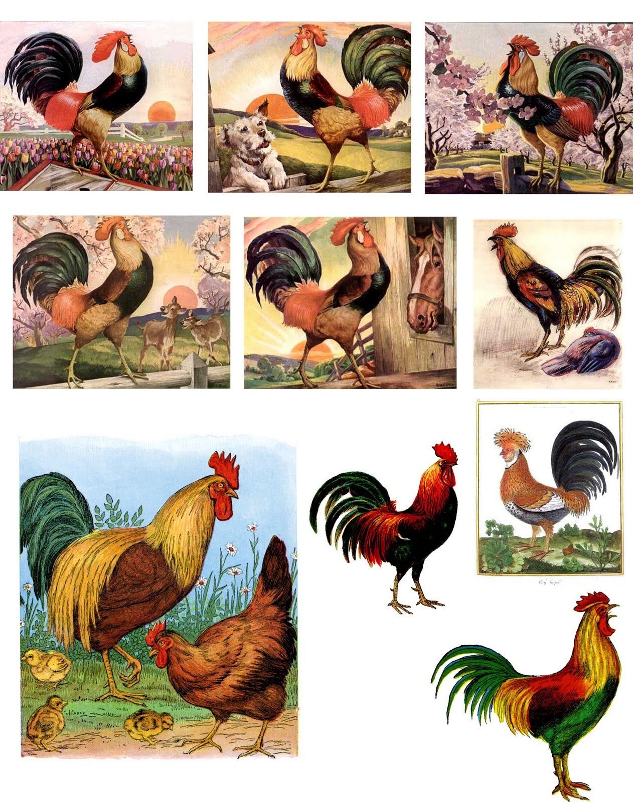 Free Printable Rooster | Free Digital Downloadsthe Timeless - Free Printable Pictures Of Roosters