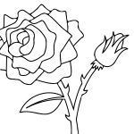 Free Printable Roses Coloring Pages For Kids   Free Printable Roses