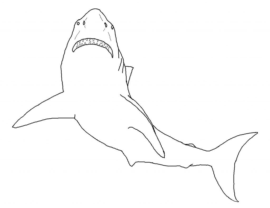 Free Printable Shark Coloring Pages For Kids | Sharks Coloring Pages - Free Printable Great White Shark Coloring Pages