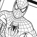 Free Printable Spiderman Coloring Pages For Kids | Coloring Pages   Free Printable Spiderman Pictures