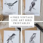Free Printable Vintage Bird Line Art | For The Home | Vintage Birds   Free Printable Vintage Art