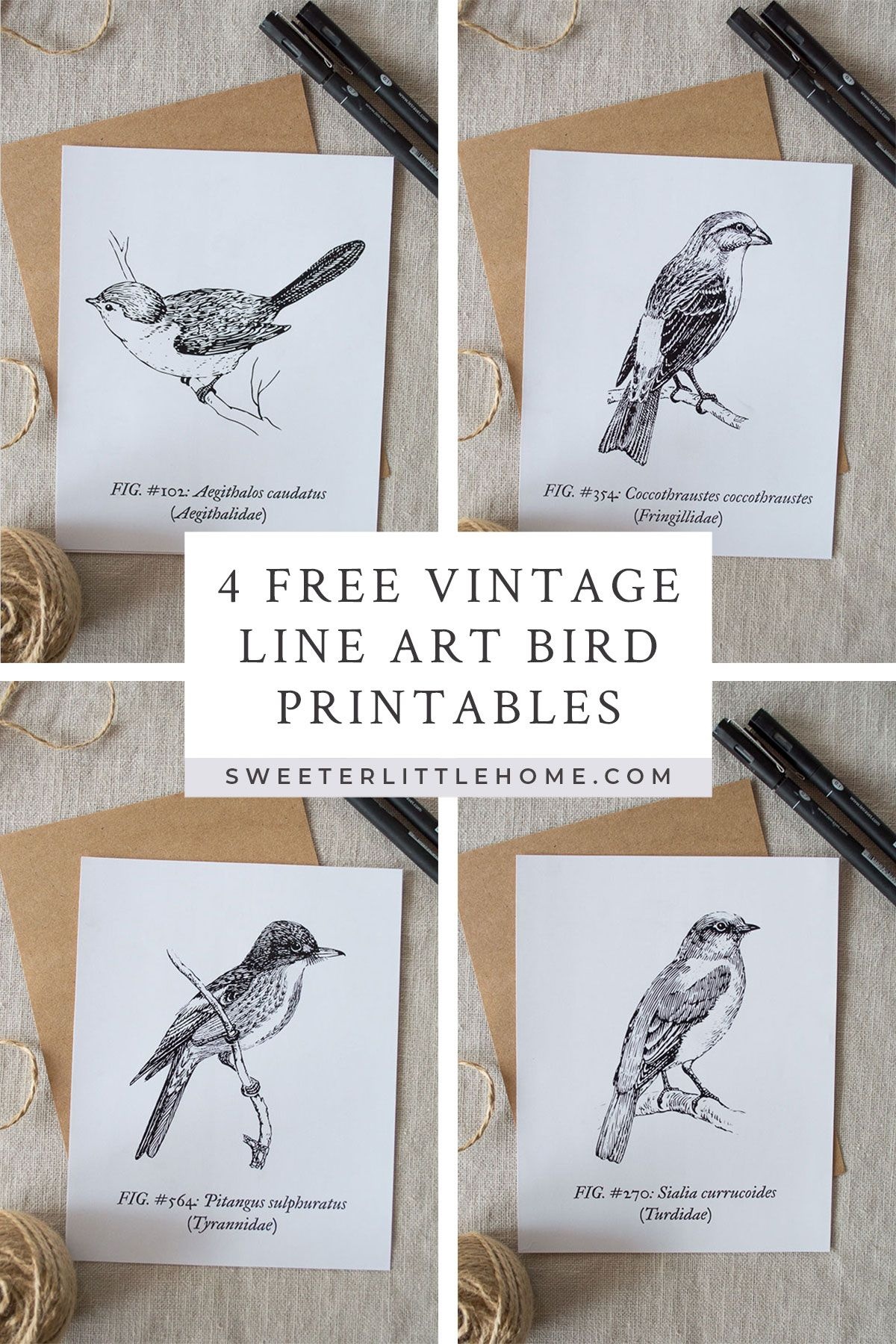 Free Printable Vintage Bird Line Art | For The Home | Vintage Birds - Free Printable Vintage Art