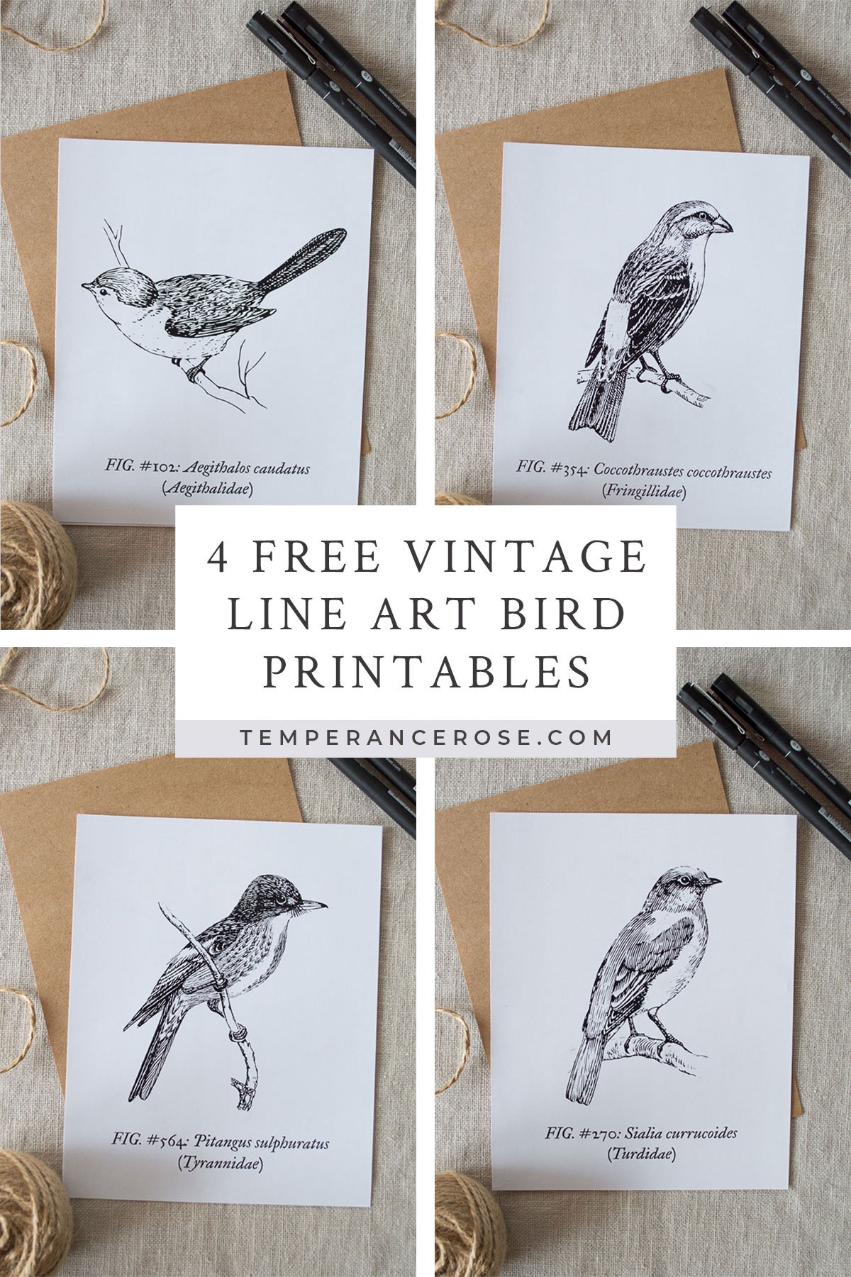 Free Printable Vintage Bird Line Art - Free Printable Images Of Birds