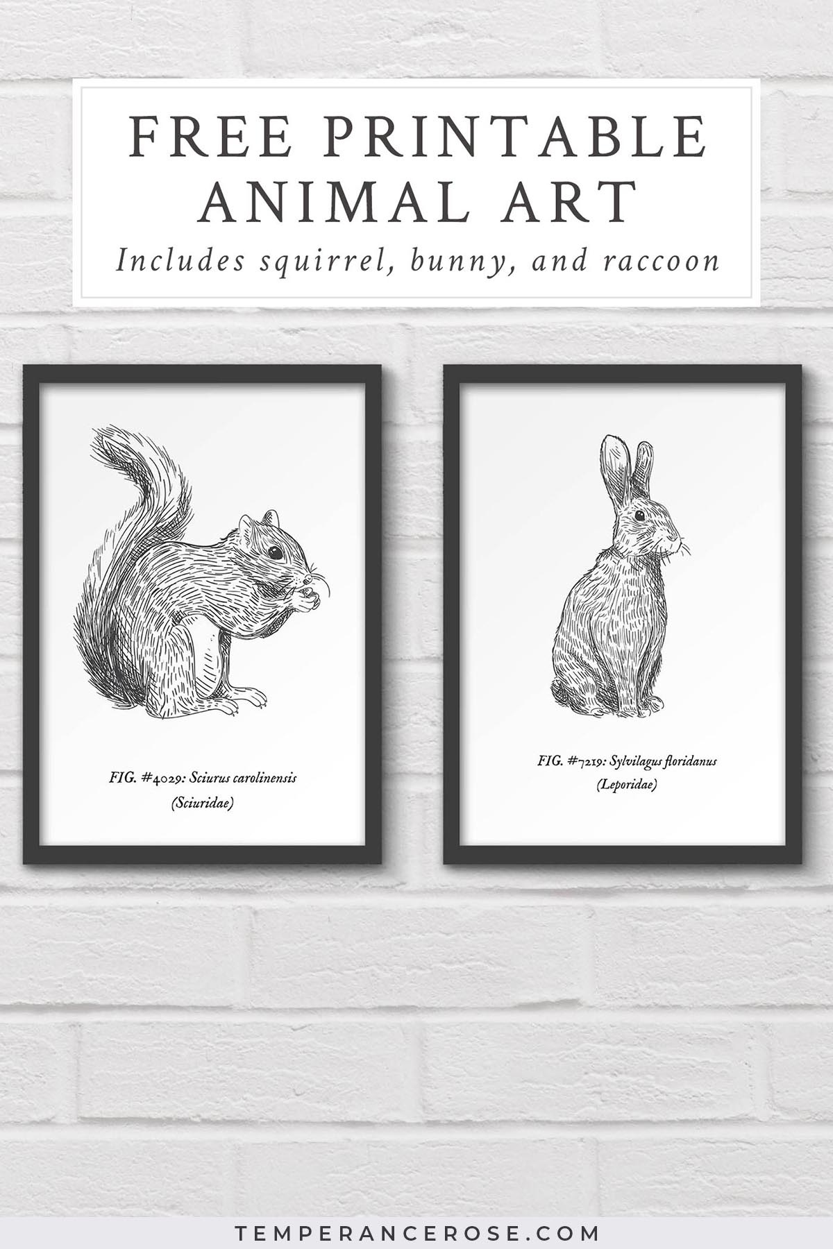 Free Printable Woodland Animal Wall Art - Free Printable Vintage Art