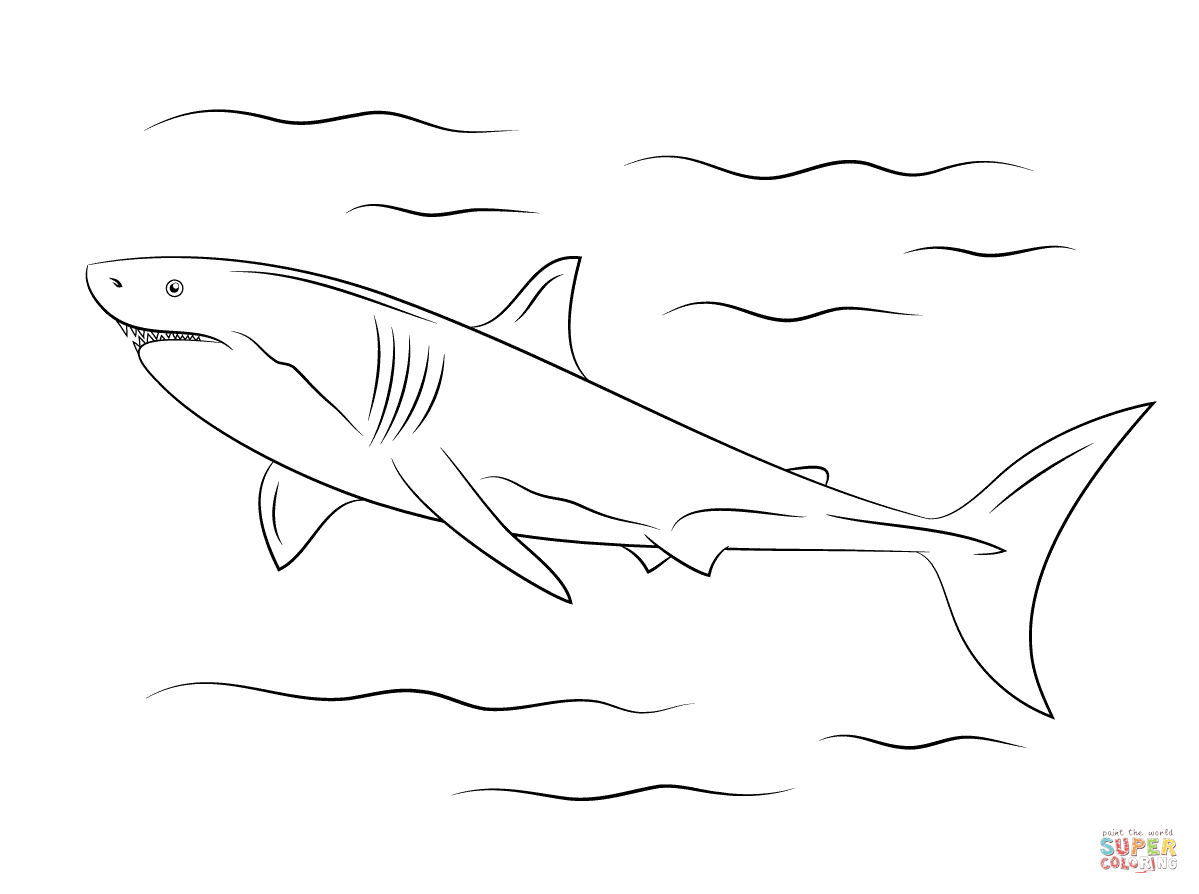 Great White Shark Coloring Page | Free Printable Coloring Pages - Free Printable Great White Shark Coloring Pages