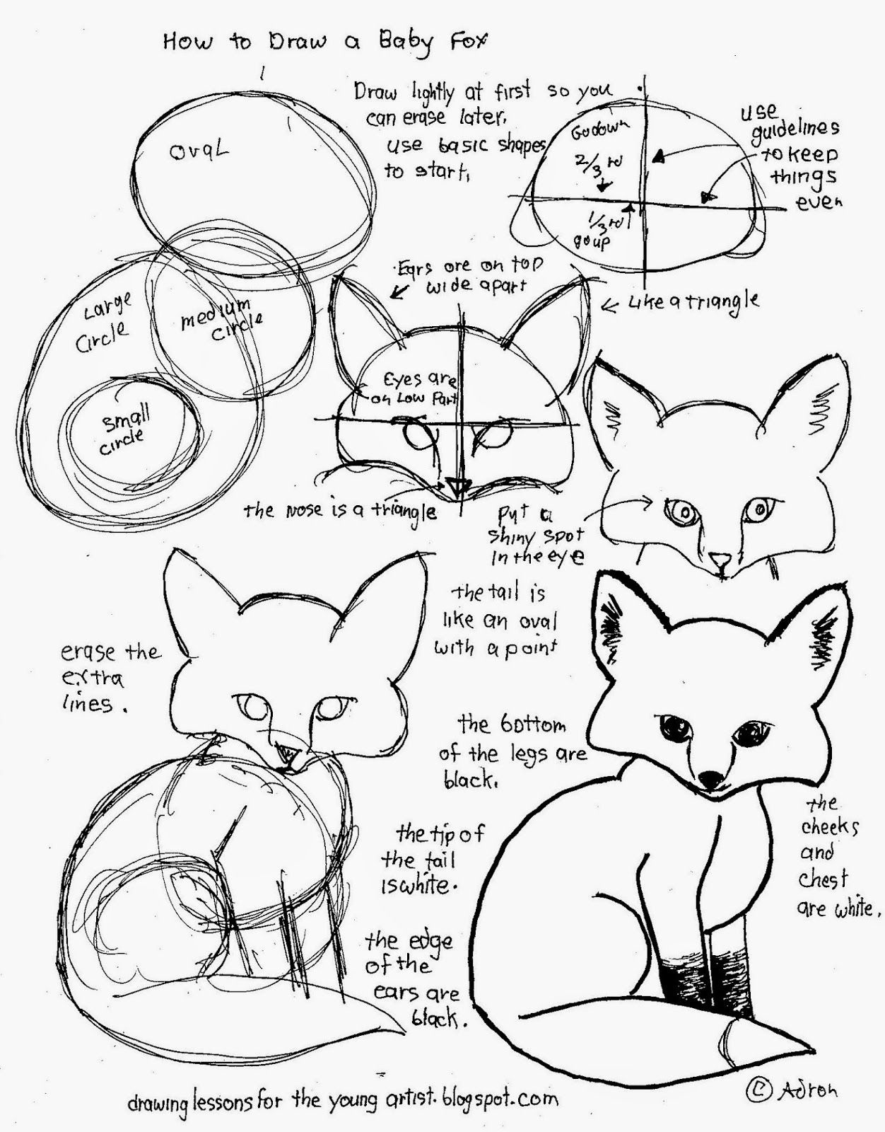 How To Draw Worksheets For The Young Artist: How To Draw A Baby Fox - Free Printable Drawing Worksheets