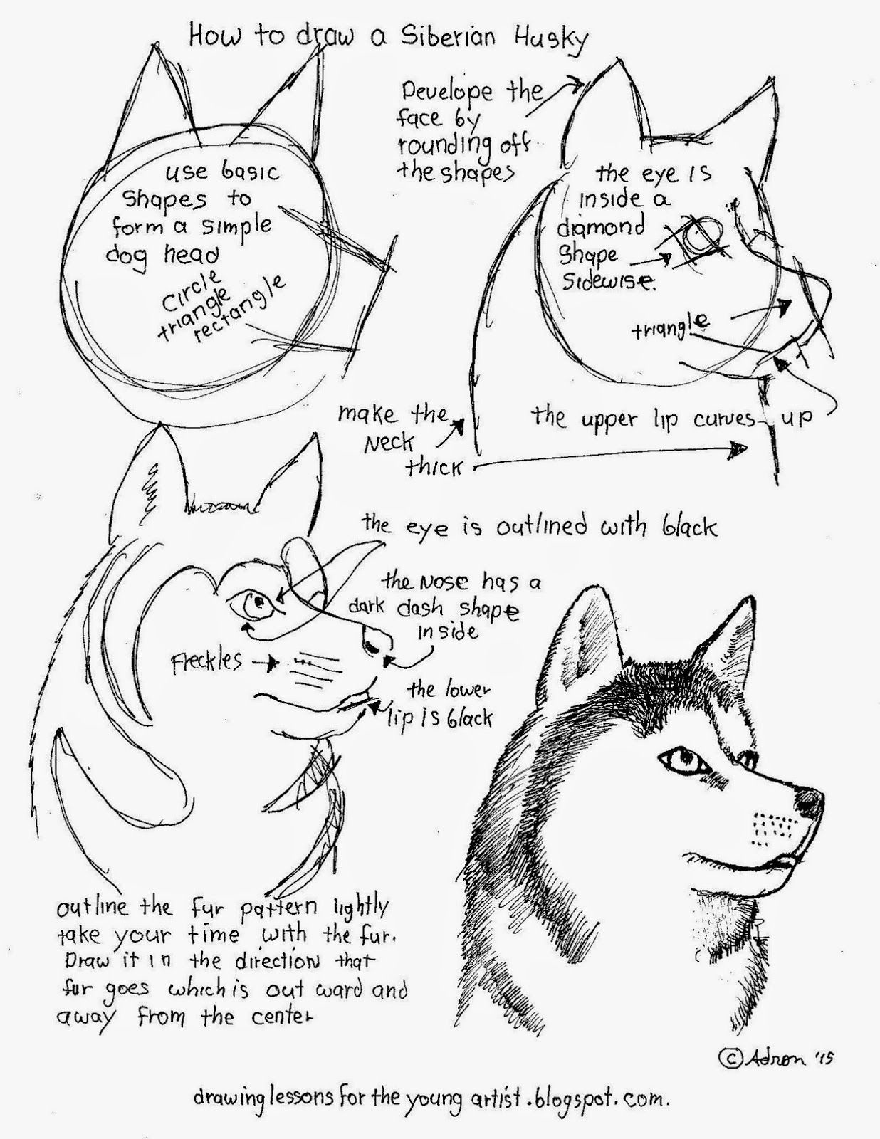 How To Draw Worksheets For The Young Artist How To Draw A Baby Fox