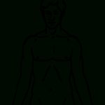 Human Body Outline Printable | Free Download Best Human Body Outline   Free Printable Human Body Template
