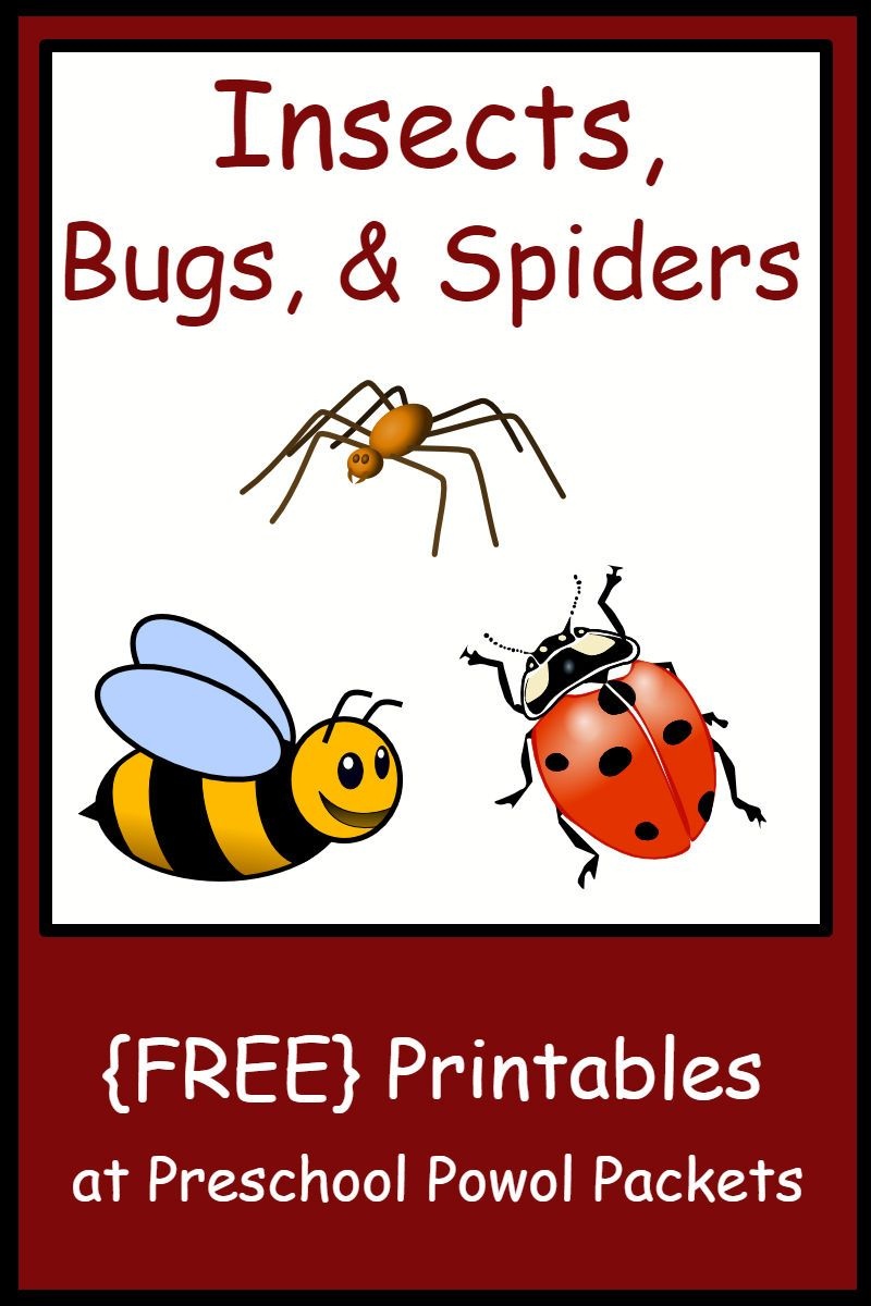 Insect, Bug, &amp;amp; Spider Themed {Free} Preschool Printables | Teaching - Free Printable Worm Worksheets