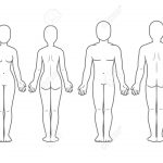 Male And Female Body Front And Back View. Blank Human Body Template   Free Printable Human Body Template