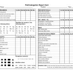 Preschool Progress Report Template | Childcare | Kindergarten Report   Free Printable Kindergarten Report Cards