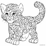 Printable Cheetah Coloring Pages For Kids | Cool2Bkids   Free Printable Cheetah Pictures