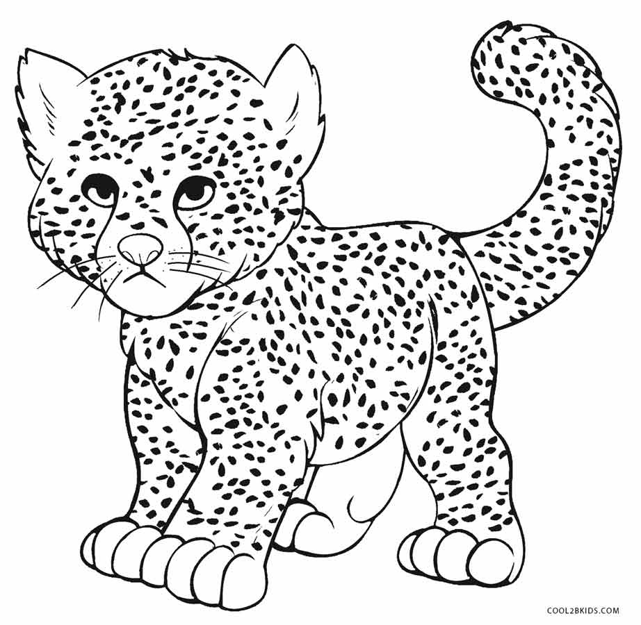 Printable Cheetah Coloring Pages For Kids | Cool2Bkids - Free Printable ...