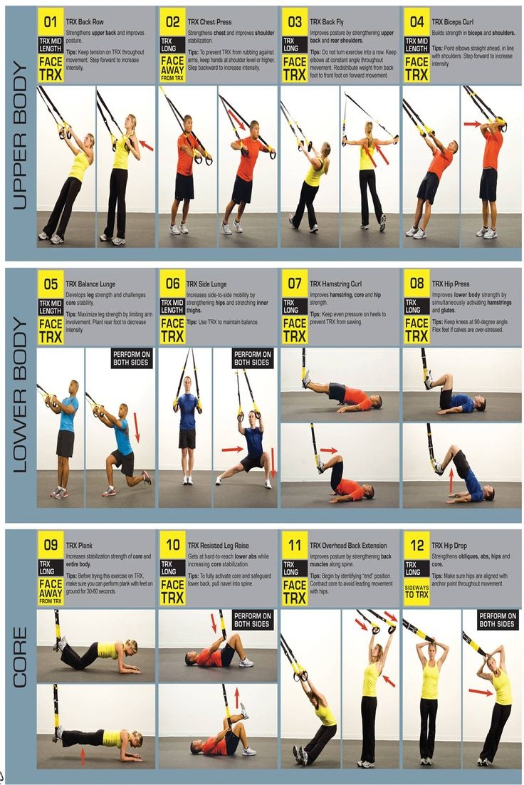 Printable Trx Workouts (67+ Images In Collection) Page 2 - Free Printable Trx Workouts