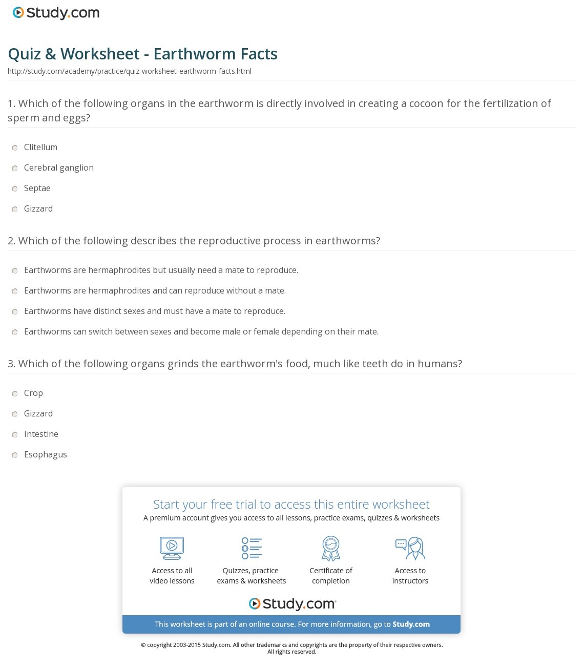 Quiz Worksheet Earthworm Facts Study Free Printable Worm