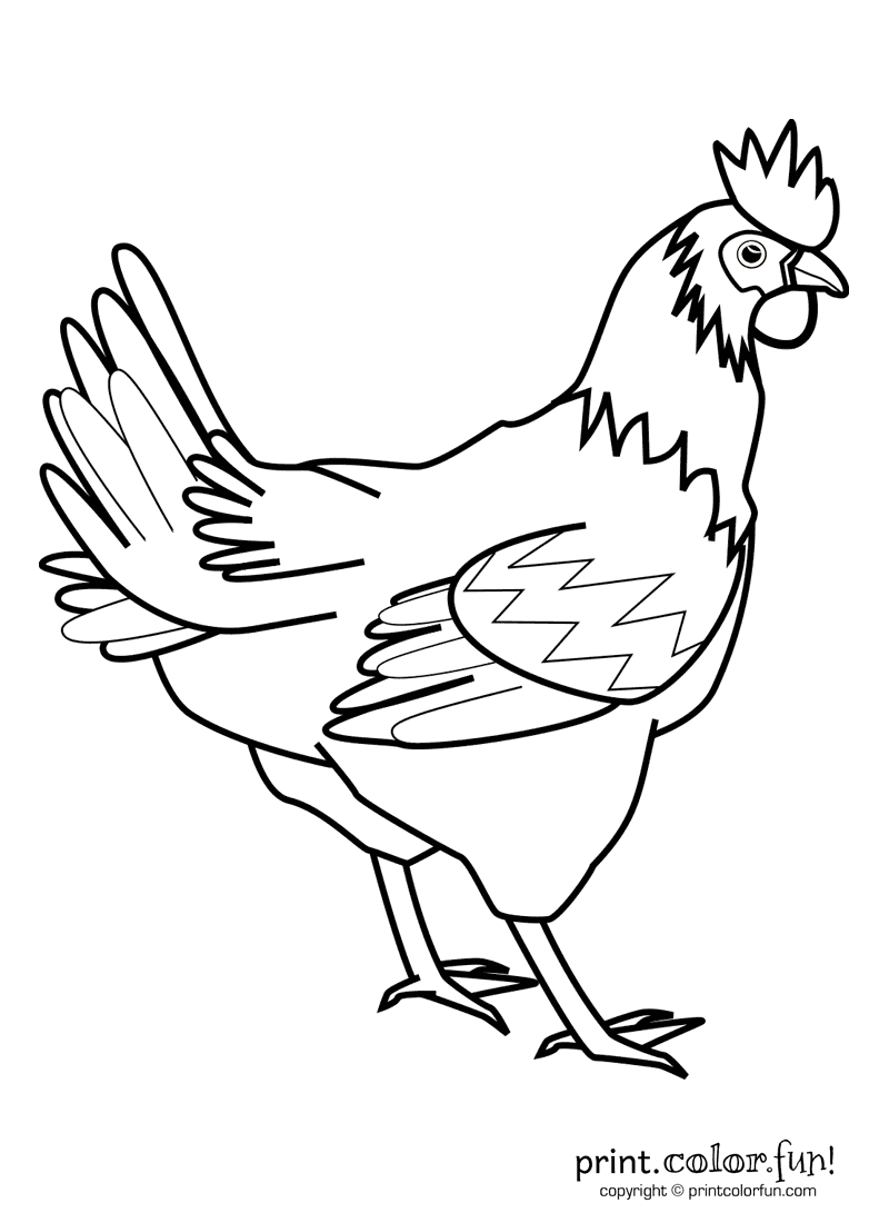 Rooster | Print. Color. Fun! Free Printables, Coloring Pages, Crafts - Free Printable Pictures Of Roosters
