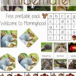 Science Activities For Preschoolers And Toddlers: Hibernation   Free Printable Hibernation Worksheets