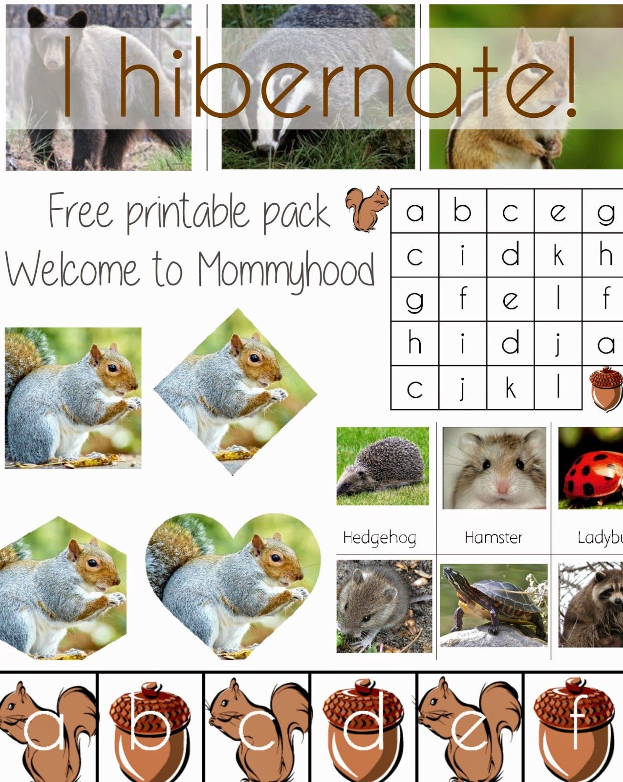 Science Activities For Preschoolers And Toddlers: Hibernation - Free Printable Hibernation Worksheets